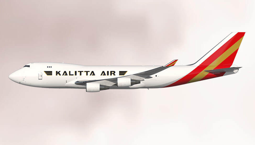 カリッタ B747-100 アメリカン インターナショナル・エアウェイズ The Fleet